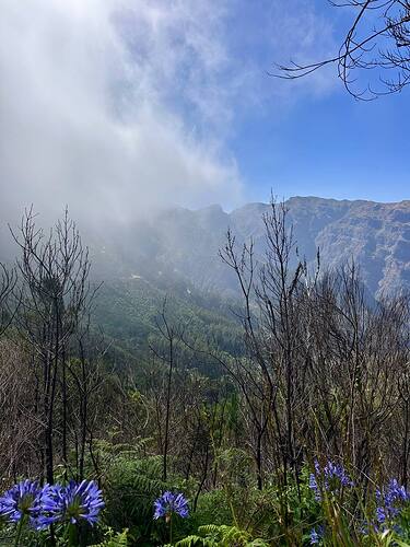 hiking
