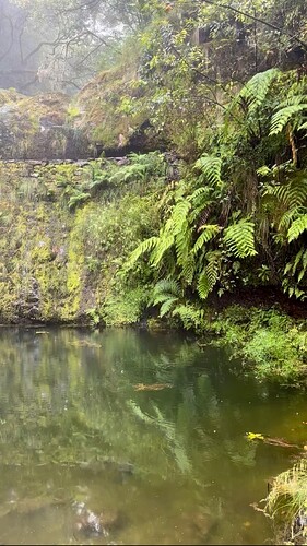 hiking