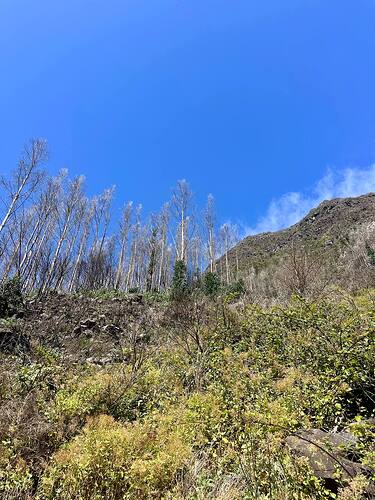 hiking