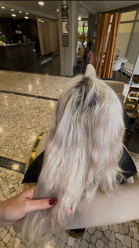 Hair extensions (before)