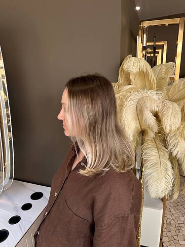 natural-blonde-toning-madeira-elizabeth-hair-before