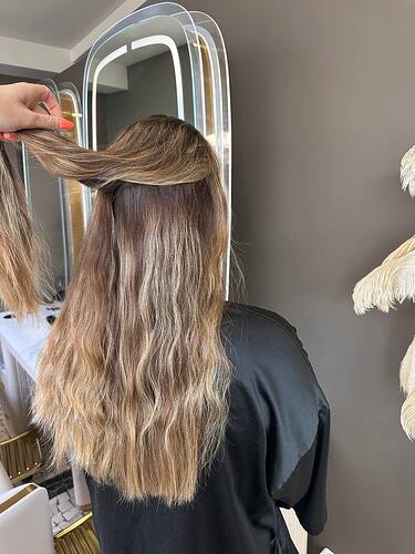 dimensional-color-correction-madeira-elizabeth-hair-before-2