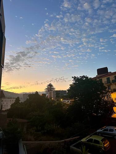 view