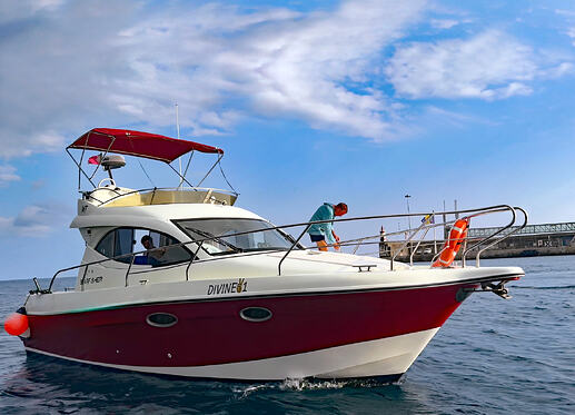 Starfisher 34
