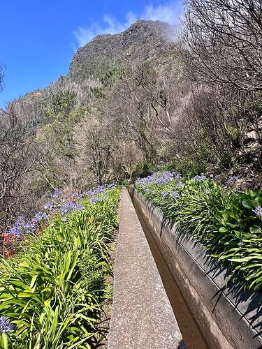 hiking