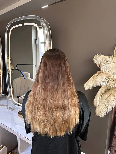 dimensional-color-correction-madeira-elizabeth-hair-before-1