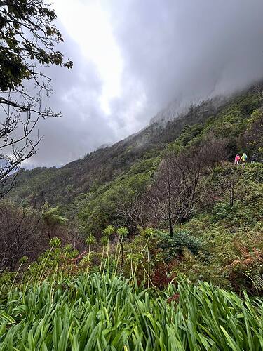 hiking