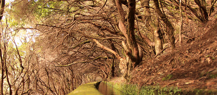 Madeira_-Levada_das_25_Fontes(24516089832)