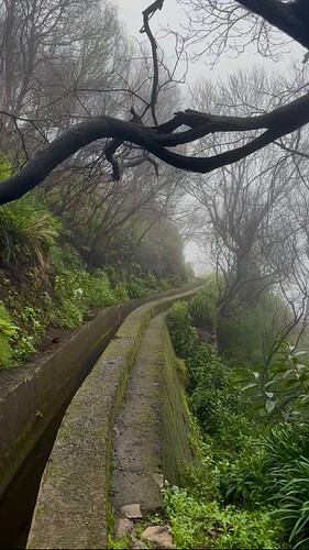 hiking