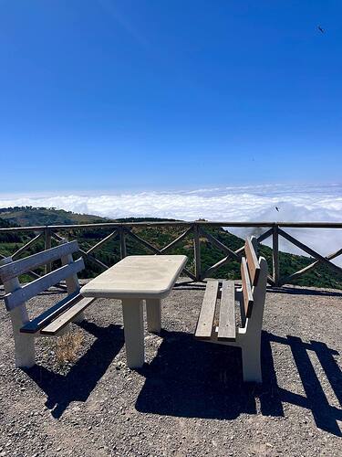 view