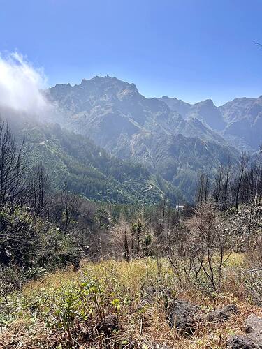 hiking