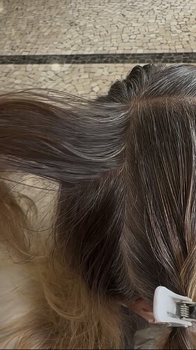 grey-camouflage-madeira-elizabeth-hair (before)