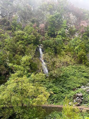 hiking