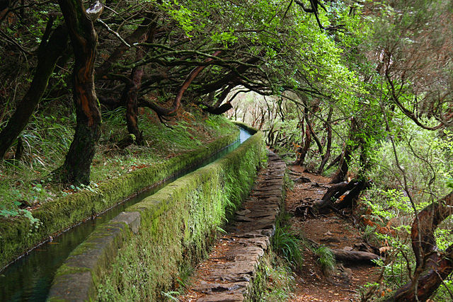 640px-Levada_Madeira